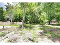 Large backyard with mature trees and a wooden fence at 13017 Manatee Ave, New Port Richey, FL 34654