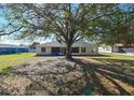 Large backyard with a large tree and screened porch at 3522 E 26Th Ave, Tampa, FL 33605