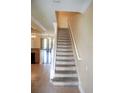 Carpeted staircase with white railings leading to the upper level, connecting living spaces at 10217 Westpark Preserve Blvd, Tampa, FL 33625