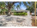 Renovated home with a spacious yard and large tree at 4020 S West Shore Blvd, Tampa, FL 33611