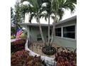 Landscaped front yard with palm trees and a curved walkway at 568 Seacrest Dr, Largo, FL 33771