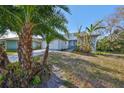 Front view of a house with palm trees and a yard at 1016 Teal Pointe, Tarpon Springs, FL 34689