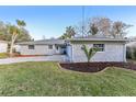 Newly renovated home with gray stone exterior, landscaped lawn, and palm trees at 18615 Yocam Ave, Lutz, FL 33549