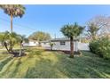 Landscaped front yard with palm trees and a well-maintained lawn at 18615 Yocam Ave, Lutz, FL 33549