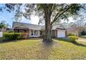 One-story home with large tree and landscaped yard at 4804 Foxshire Cir, Tampa, FL 33624