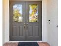 Double front doors with glass panels and elegant door handles at 714 Hidden Lake Dr, Tarpon Springs, FL 34689