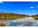 Scenic lake view showcasing the calm water reflecting the sky with trees lining the distant shore at 8619 Foxtail Ct, Tampa, FL 33647