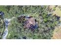 Bird's eye view of a house nestled in a wooded area with a pool at 5823 Audubon Manor Blvd, Lithia, FL 33547