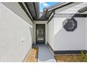 Front entrance with patterned glass door and walkway at 1741 Spinning Wheel Dr, Lutz, FL 33559