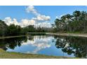 Serene lake view with lush greenery and cloudy sky at 20209 Merry Oak Ave, Tampa, FL 33647