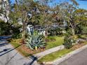 Street view featuring well-maintained lawn, mature landscaping, and a cozy, inviting facade at 2907 W Euclid Ave, Tampa, FL 33629