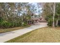 View of the front of the home and driveway surrounded by beautiful trees and lush landscaping at 170 Greenhaven Cir, Oldsmar, FL 34677