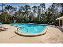 Community pool featuring clear water, ample deck space, and mature trees at 113 Lindsay Ln # 23, Oldsmar, FL 34677