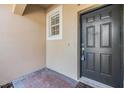 Close up of a front door entrance at 3900 Claybrook Dr, Wesley Chapel, FL 33544