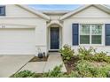 Front entrance with navy blue door and white trim at 11976 Brighton Knoll Loop, Riverview, FL 33579