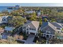 Aerial view of a suburban home near the water, showcasing the surrounding greenery and neighborhood at 2810 W Alline Ave, Tampa, FL 33611