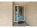 Close-up of the decorative blue front door with glass panels and stylish hardware at 3116 Swan Ln, Safety Harbor, FL 34695