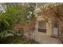 A garden view on a lovely patio with various plants and a peek at the condo building at 145 10Th N Ave # 8, St Petersburg, FL 33701