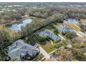 Community overview showcasing multiple homes and water features at 19107 Centre Rose Blvd, Lutz, FL 33558
