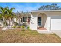 Close-up of a well-maintained front yard and entrance to the home at 1672 Cambridge Dr, Clearwater, FL 33756