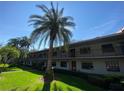 Exterior view of the building with a large palm tree in the foreground and well-maintained lawn at 2070 Lakeview Dr # 206, Clearwater, FL 33763