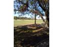 Scenic golf course view showcasing lush greenery and mature trees under a bright blue sky at 1050 Starkey Rd # 2503, Largo, FL 33771