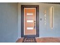 Modern front door with updated hardware and a welcome mat at 4412 W Pearl Ave, Tampa, FL 33611