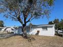 A quaint single-story home featuring a lush front yard and a welcoming front entrance at 2036 Melody Dr, Holiday, FL 34691