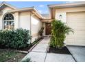 Inviting home entrance with lush landscaping leading to a warm wood door at 1009 Hardwood Dr, Valrico, FL 33596