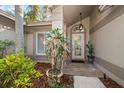 Inviting front porch featuring decorative plants and an elegant glass front door at 1235 Willowick Cir, Safety Harbor, FL 34695
