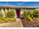 Inviting front entrance with colorful landscaping and brick accents surrounding the red front door at 3298 Buckhorn Dr, Clearwater, FL 33761