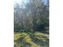 Lush backyard featuring mature trees and landscaping at 8541 Hunters Key Cir, Tampa, FL 33647
