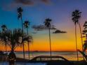 Scenic sunset view over the water, framed by silhouetted palm trees, with vivid yellows and blues at 614 Maryland Ave, Crystal Beach, FL 34681