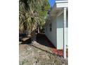 Side view of the home with address number and mature palm tree at 7908 Rideout Rd, Tampa, FL 33619