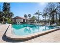 A refreshing community pool surrounded by lush landscaping, lounge chairs, and a nearby condo complex at 1801 E Lake Rd # 9G, Palm Harbor, FL 34685
