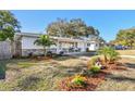 Beautifully landscaped front yard featuring stone accents, lush tropical plants and well-maintained grass at 2008 Harvard Ave, Dunedin, FL 34698