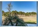 Relaxing view from the porch, showcasing lush greenery and peaceful surroundings at 811 Winterside Dr, Apollo Beach, FL 33572