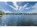 Scenic view of the lake, displaying waterfront properties across the water and bright blue skies at 10251 Oasis Palm Dr, Tampa, FL 33615