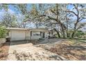 Inviting single-story home with a paved driveway and established landscaping at 4928 Petunia Ct, New Port Richey, FL 34652