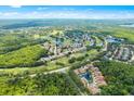 Gorgeous golf course community with lush landscaping and pristine water features at 4224 Preserve Pl, Palm Harbor, FL 34685