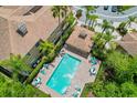 Aerial view of a sparkling community pool with lounge chairs and tables at 4224 Preserve Pl, Palm Harbor, FL 34685