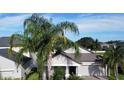 Lovely home with a two-car garage framed by lush palm trees and a well-maintained lawn, capturing Florida living at 13359 Orca Sound Dr, Riverview, FL 33579