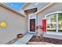 Inviting front entrance with brick walkway, colorful plants and a striking red door at 13507 Mango Bay Dr, Riverview, FL 33579