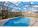 Relaxing screened-in pool area, perfect for enjoying sunny days at 11209 Bloomington Dr, Tampa, FL 33635