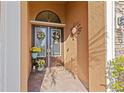 Inviting front door with decorative wreaths, complemented by a cheerful 'Hi, I'm Mat' welcome mat at 13711 Moonstone Canyon Dr, Riverview, FL 33579