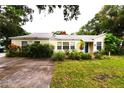 Cozy single-story home featuring a tidy front yard and blue front door at 1372 Palmetto St, Clearwater, FL 33755