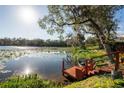 Scenic lake view featuring a private wooden dock, lush landscaping, and a small boat at 732 June Lake Ln, Brandon, FL 33510