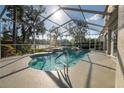 Screened-in pool features an attached spa with beautiful landscaping and serene views of the lake at 732 June Lake Ln, Brandon, FL 33510