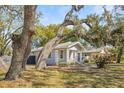 Cozy house nestled among large shade trees and nice landscaping at 1212 E New Orleans Ave, Tampa, FL 33603