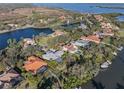 Beautiful aerial view of luxury homes in waterfront community with canals, access to the bay, and lush tropical landscaping at 1724 Amberwynd W Cir, Palmetto, FL 34221